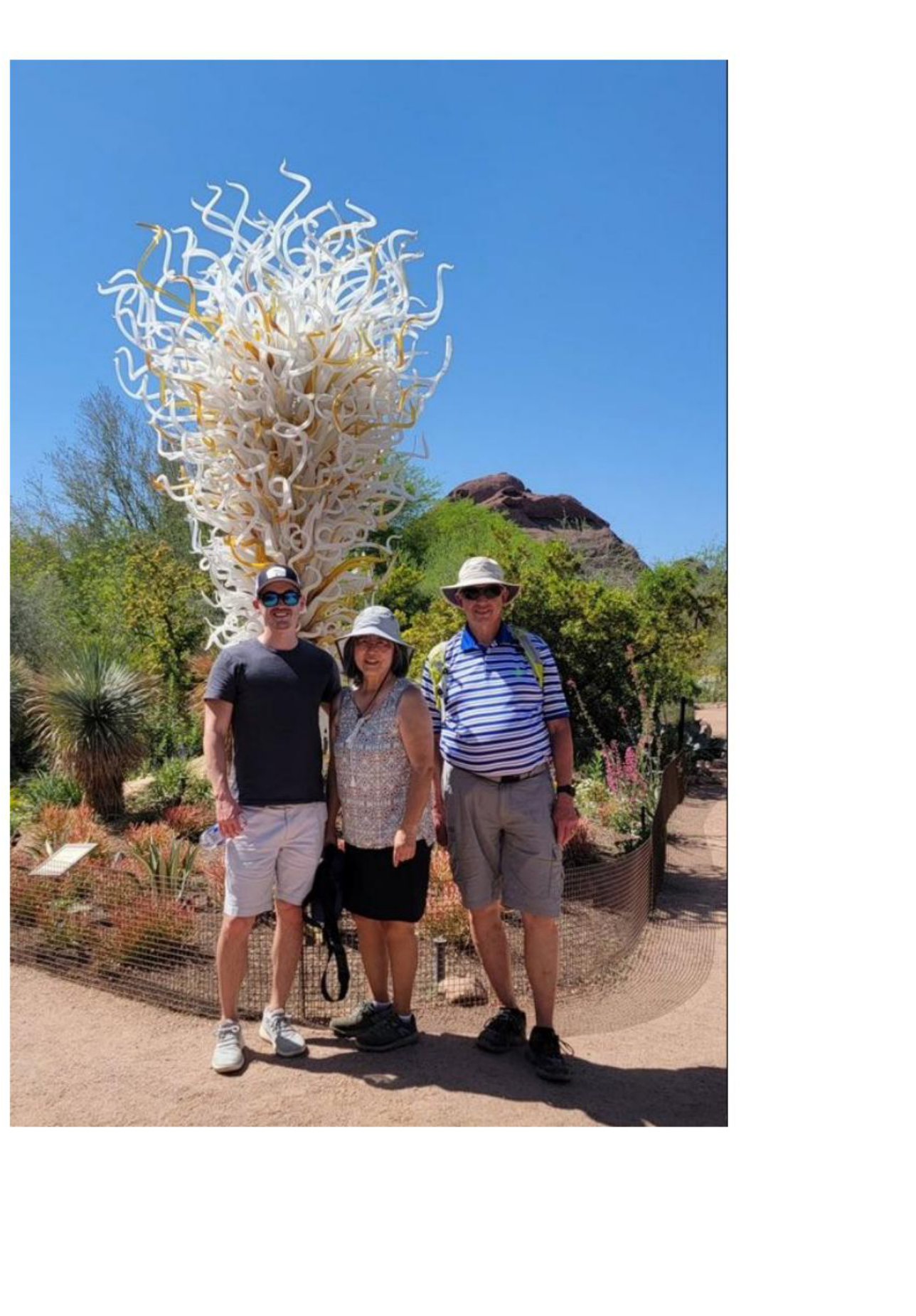 Desert botanical garden